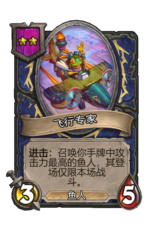 飞行专家