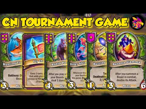Maximizing Shark + Flag combo against the BEST CN players in a Tournament |Hearthstone Battlegrounds